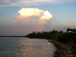 the riverbank opposite the jetty