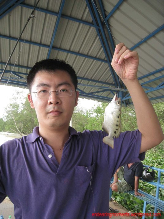 A beautiful fish,with its yellow back with faded bands...