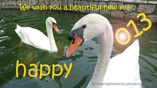 Happy New Year 2013