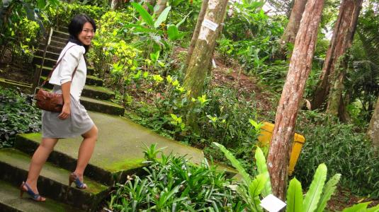 A journey of a thousand miles begins with a single step